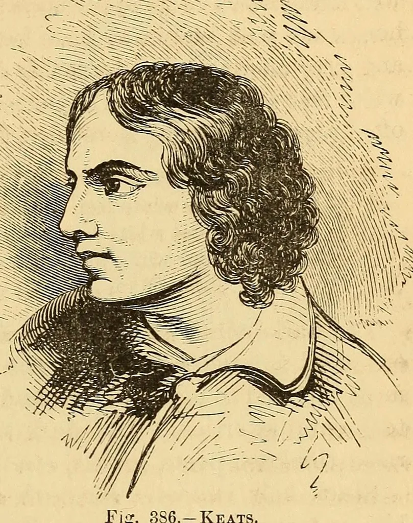An illustration from New physiognomy, 1867, leaf 292