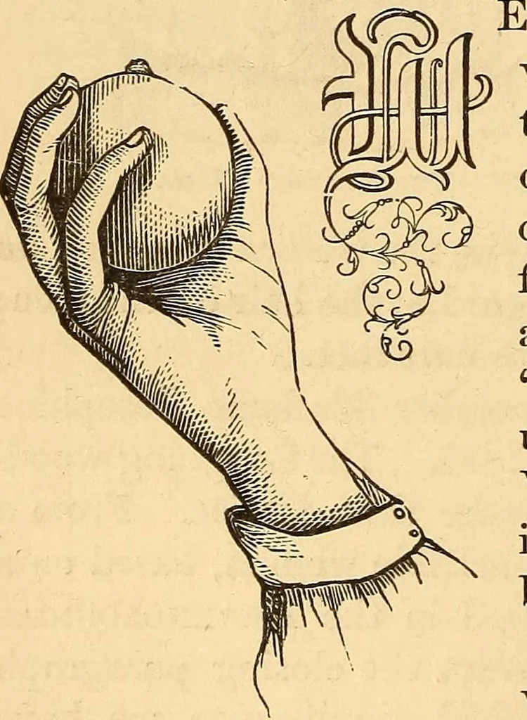 An illustration from New physiognomy, 1867, leaf 301