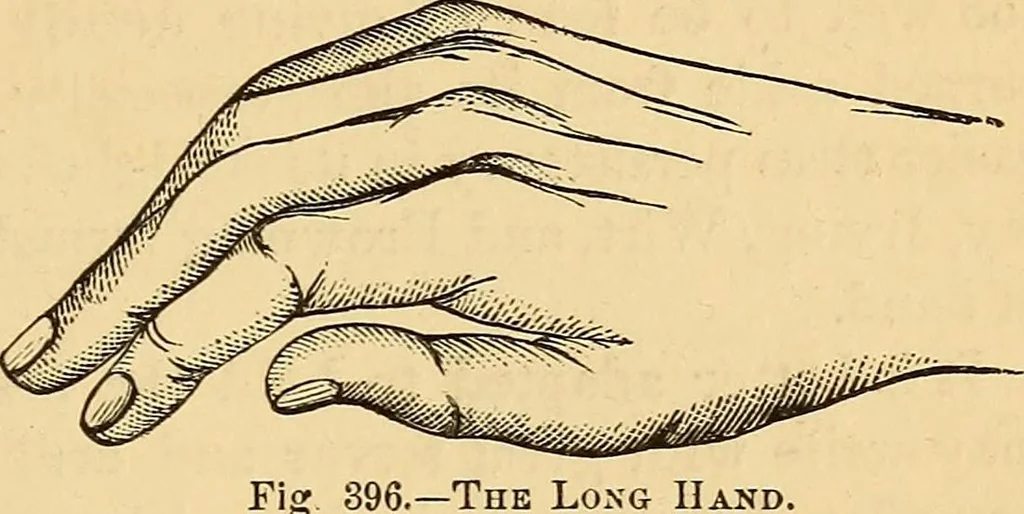 An illustration from New physiognomy, 1867, leaf 310