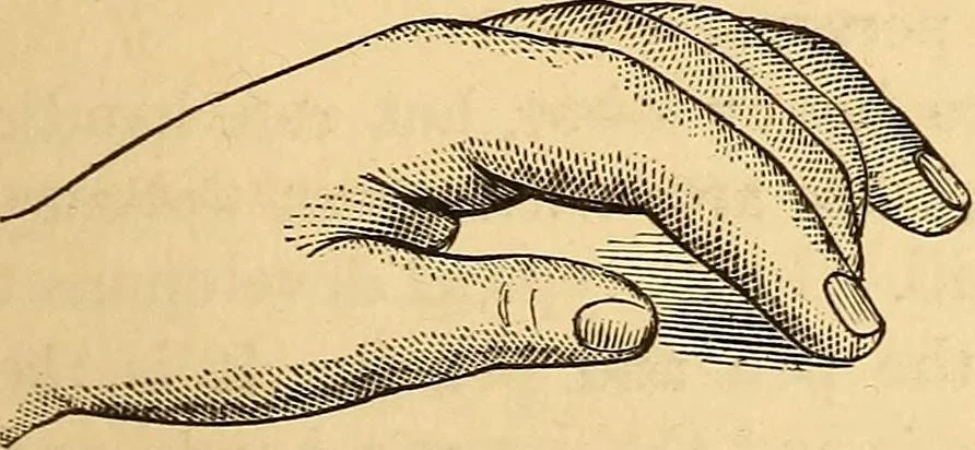 An illustration from New physiognomy, 1867, leaf 310