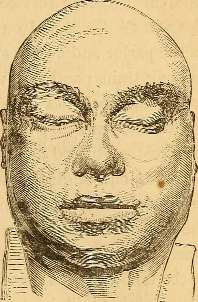 An illustration from New physiognomy, 1867, leaf 32