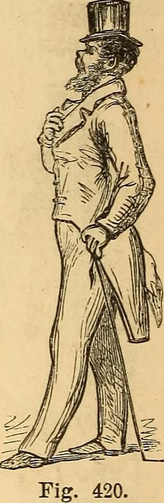 An illustration from New physiognomy, 1867, leaf 325