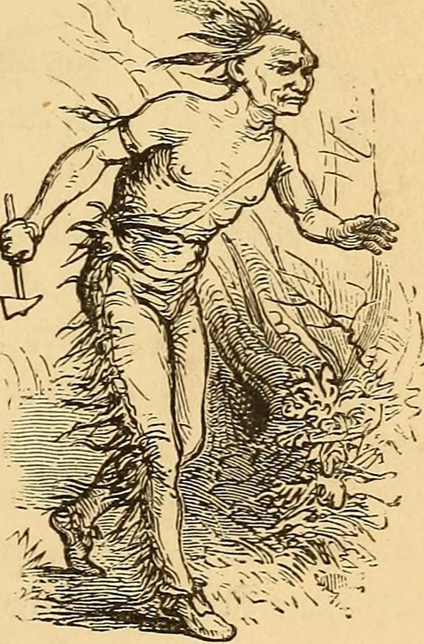An illustration from New physiognomy, 1867, leaf 326