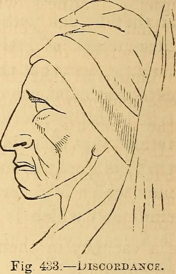 An illustration from New physiognomy, 1867, leaf 347