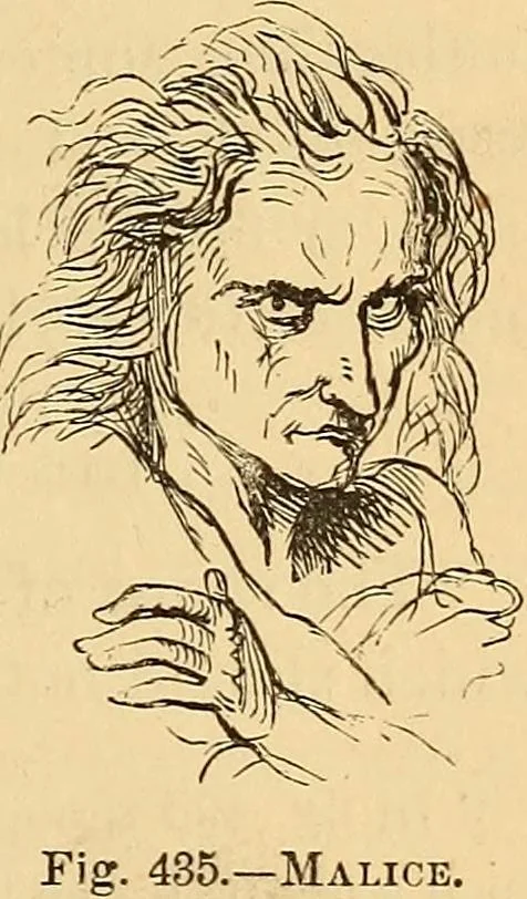 An illustration from New physiognomy, 1867, leaf 350