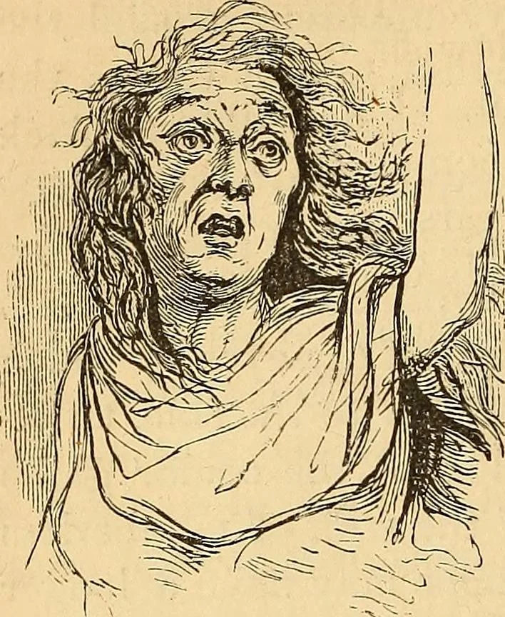 An illustration from New physiognomy, 1867, leaf 351