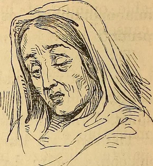 An illustration from New physiognomy, 1867, leaf 355