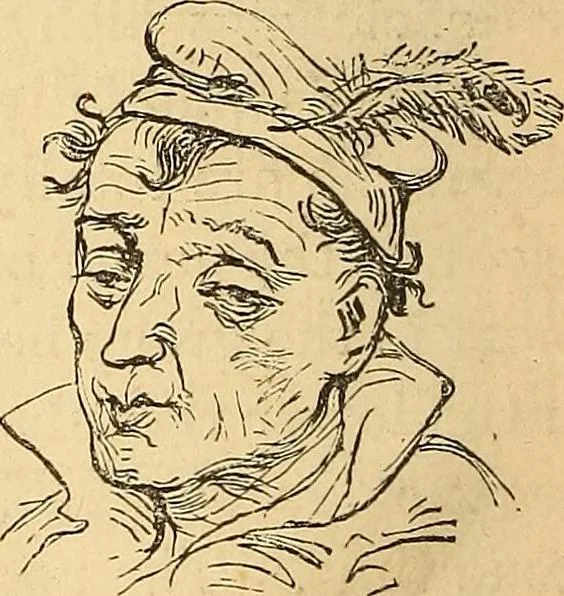 An illustration from New physiognomy, 1867, leaf 355
