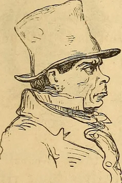 An illustration from New physiognomy, 1867, leaf 356