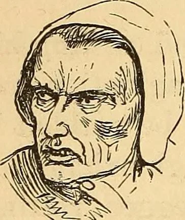 An illustration from New physiognomy, 1867, leaf 357