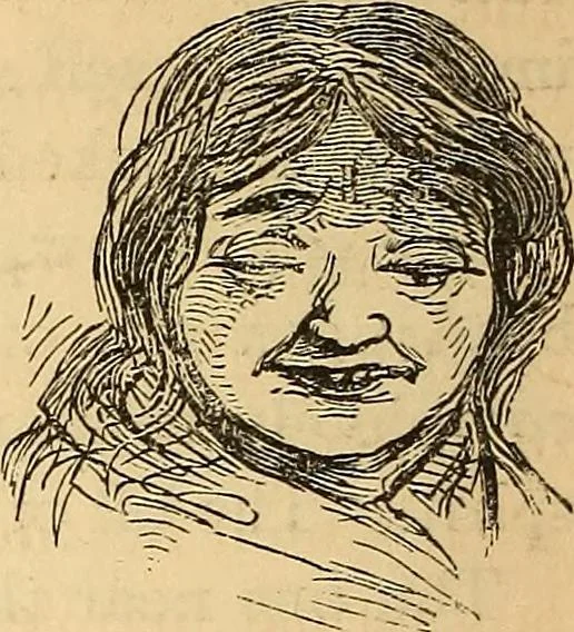An illustration from New physiognomy, 1867, leaf 357