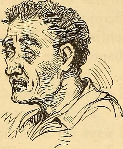 An illustration from New physiognomy, 1867, leaf 357