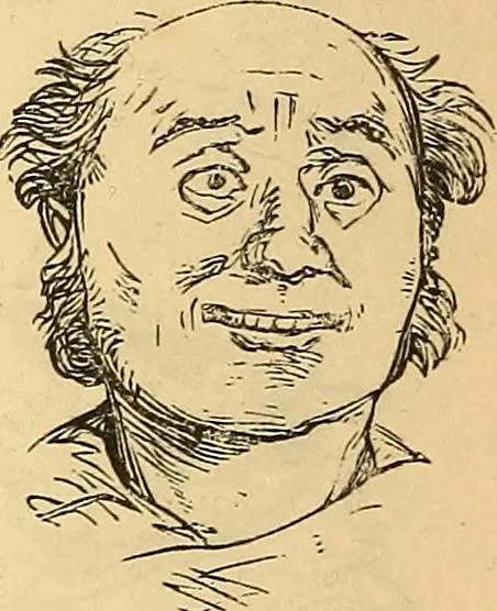 An illustration from New physiognomy, 1867, leaf 357