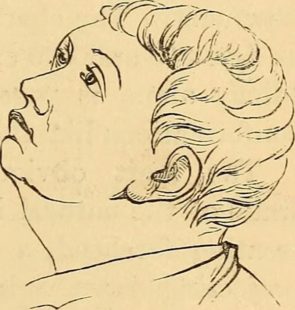 An illustration from New physiognomy, 1867, leaf 362
