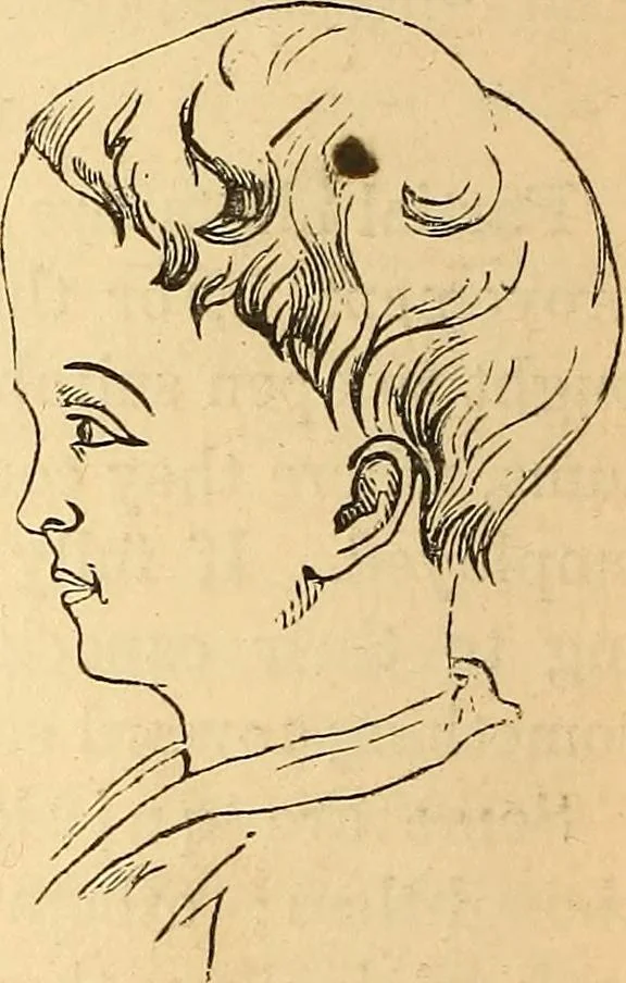 An illustration from New physiognomy, 1867, leaf 363