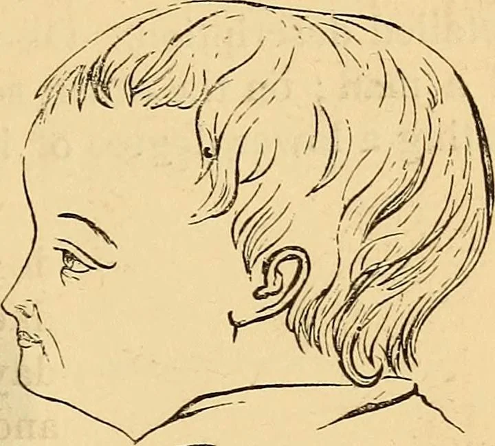 An illustration from New physiognomy, 1867, leaf 364