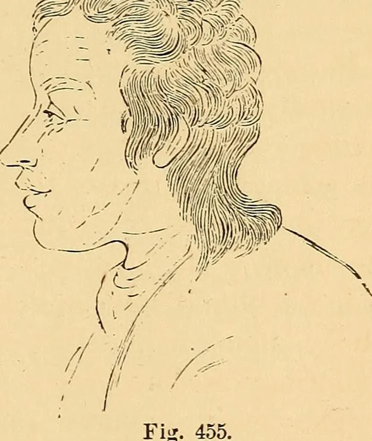 An illustration from New physiognomy, 1867, leaf 364