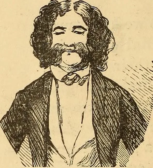 An illustration from New physiognomy, 1867, leaf 365