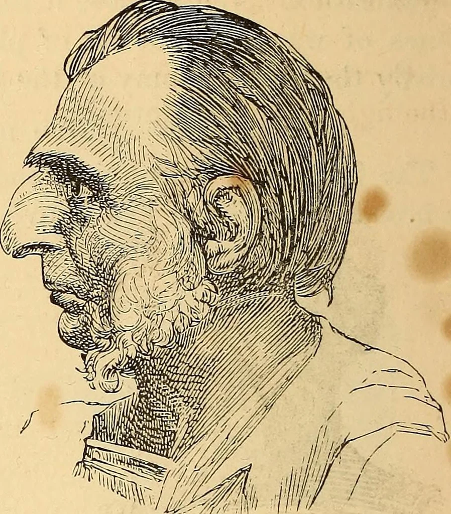 An illustration from New physiognomy, 1867, leaf 369