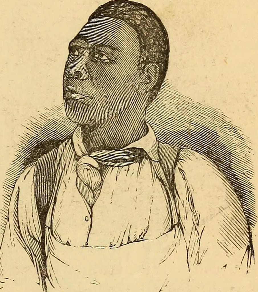 An illustration from New physiognomy, 1867, leaf 374