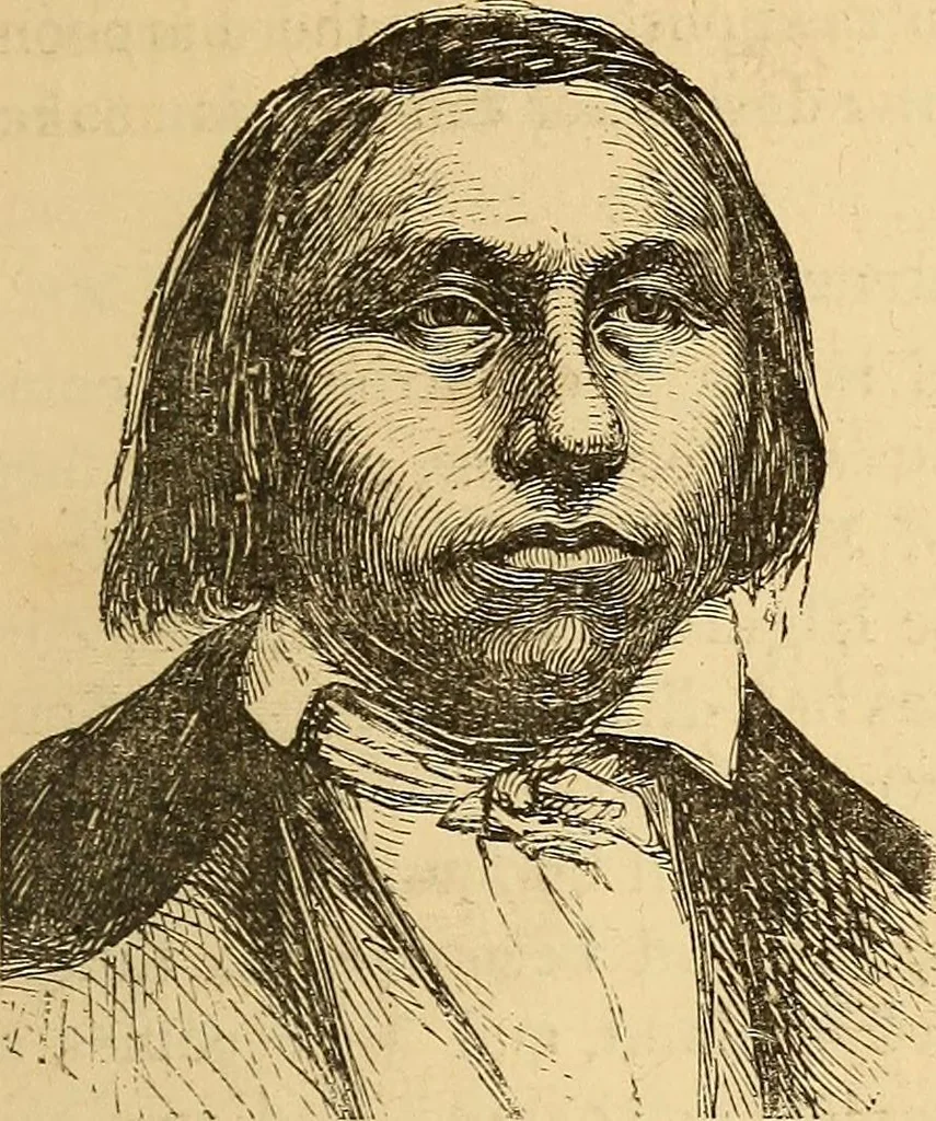 An illustration from New physiognomy, 1867, leaf 376