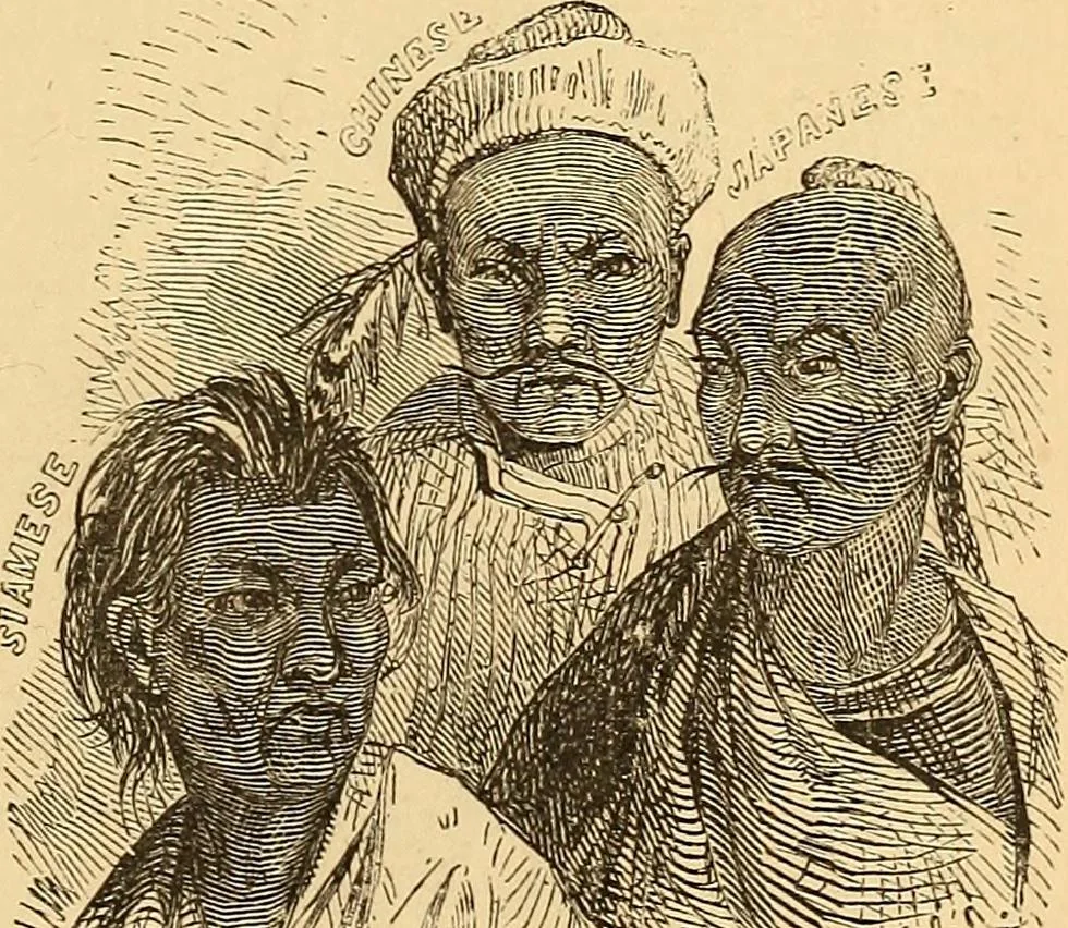 An illustration from New physiognomy, 1867, leaf 390
