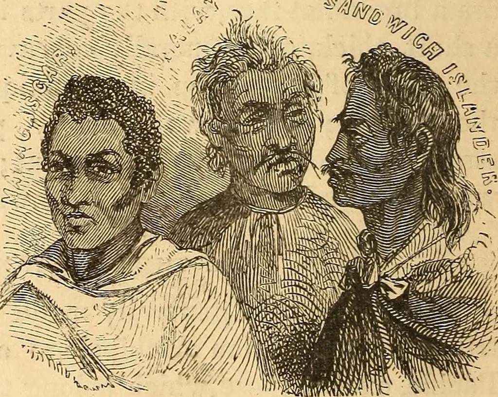 An illustration from New physiognomy, 1867, leaf 393