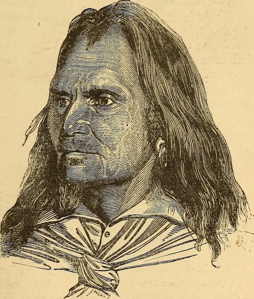 An illustration from New physiognomy, 1867, leaf 394