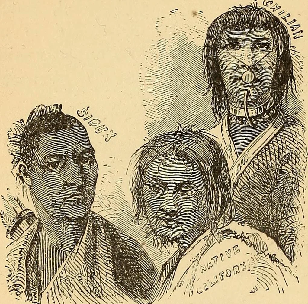 An illustration from New physiognomy, 1867, leaf 395