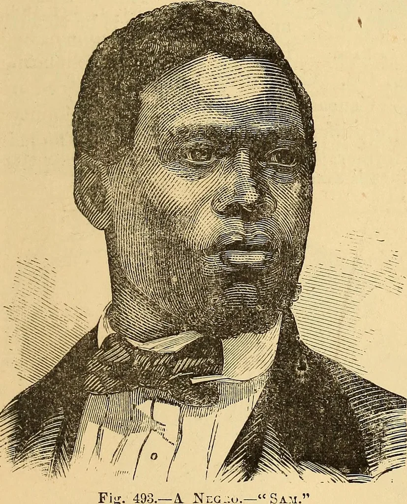 An illustration from New physiognomy, 1867, leaf 396