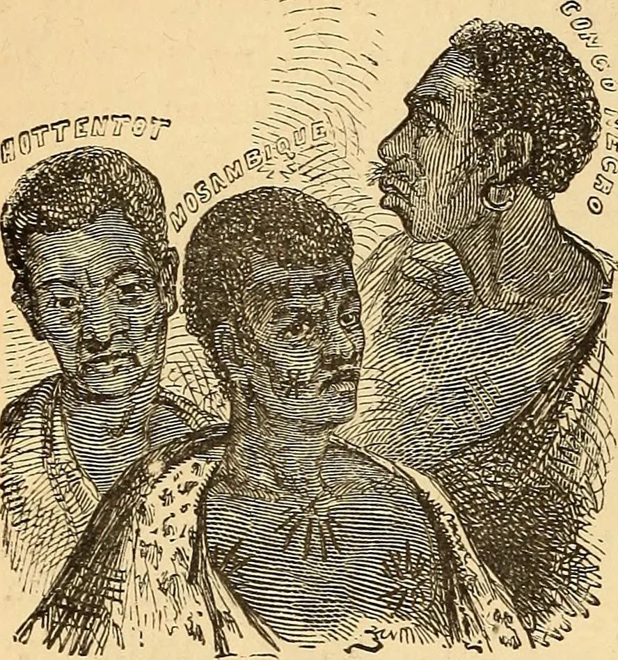 An illustration from New physiognomy, 1867, leaf 397