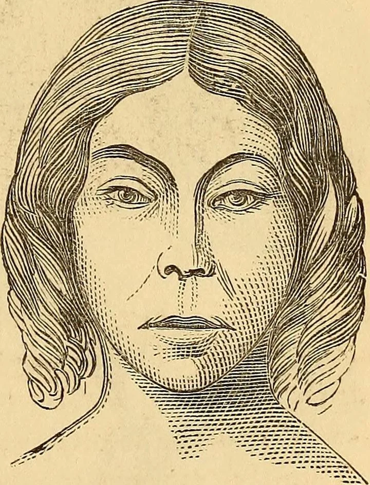 An illustration from New physiognomy, 1867, leaf 408