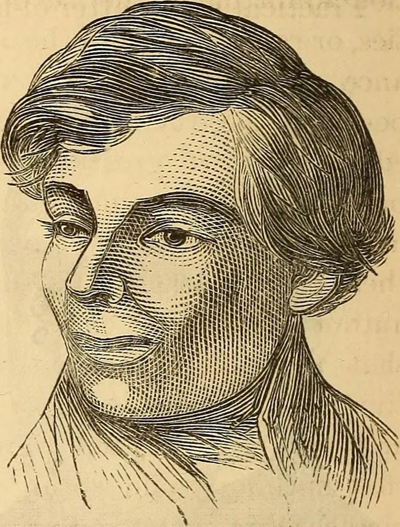 An illustration from New physiognomy, 1867, leaf 409