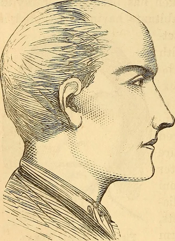 An illustration from New physiognomy, 1867, leaf 409