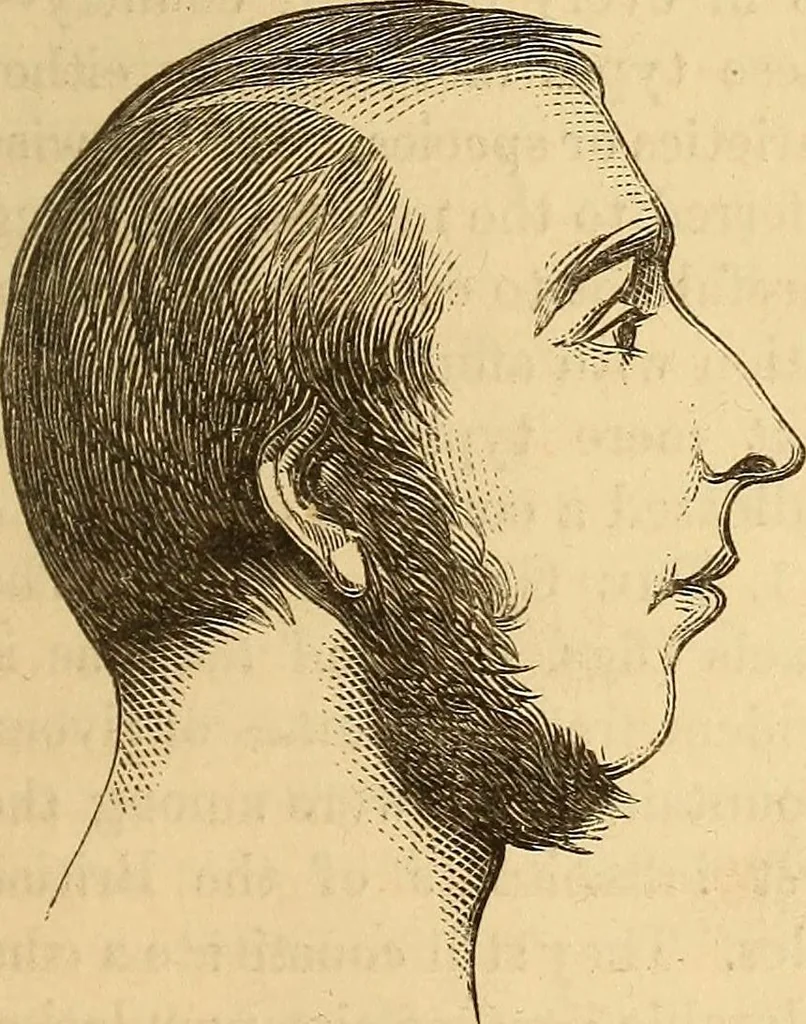 An illustration from New physiognomy, 1867, leaf 410