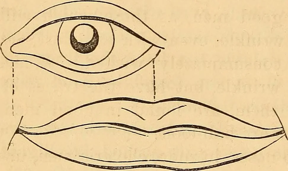 An illustration from New physiognomy, 1867, leaf 45