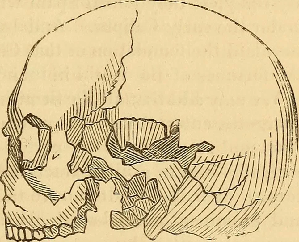 An illustration from New physiognomy, 1867, leaf 450