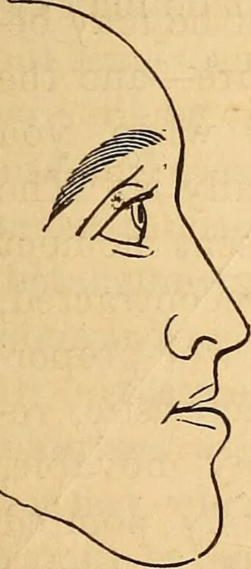 An illustration from New physiognomy, 1867, leaf 46