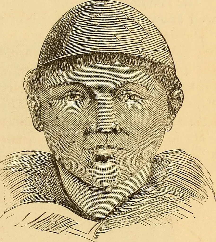 An illustration from New physiognomy, 1867, leaf 464