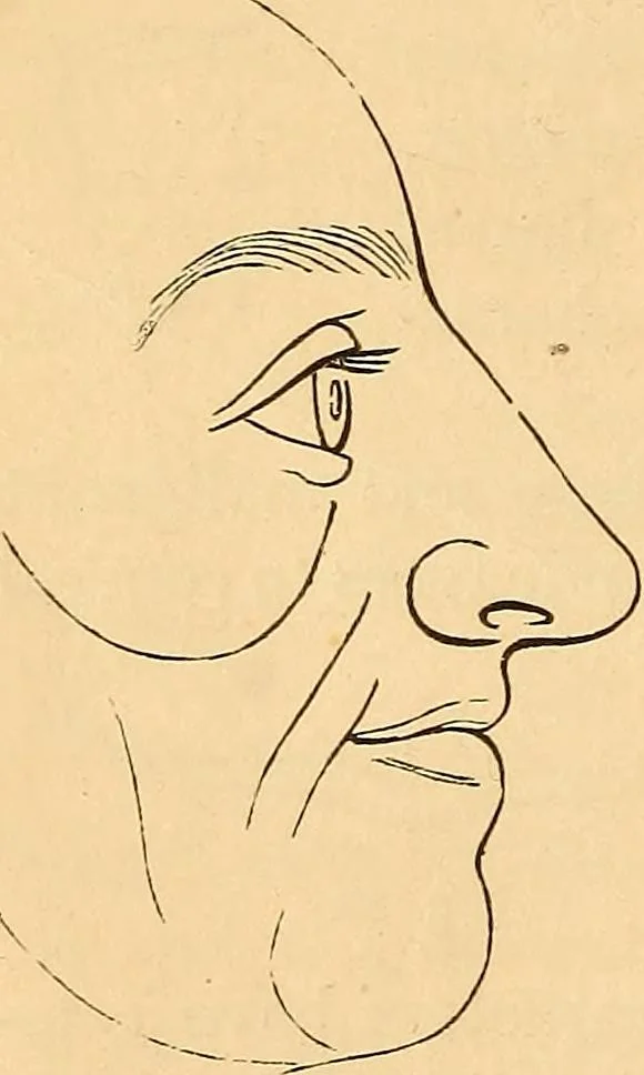 An illustration from New physiognomy, 1867, leaf 47