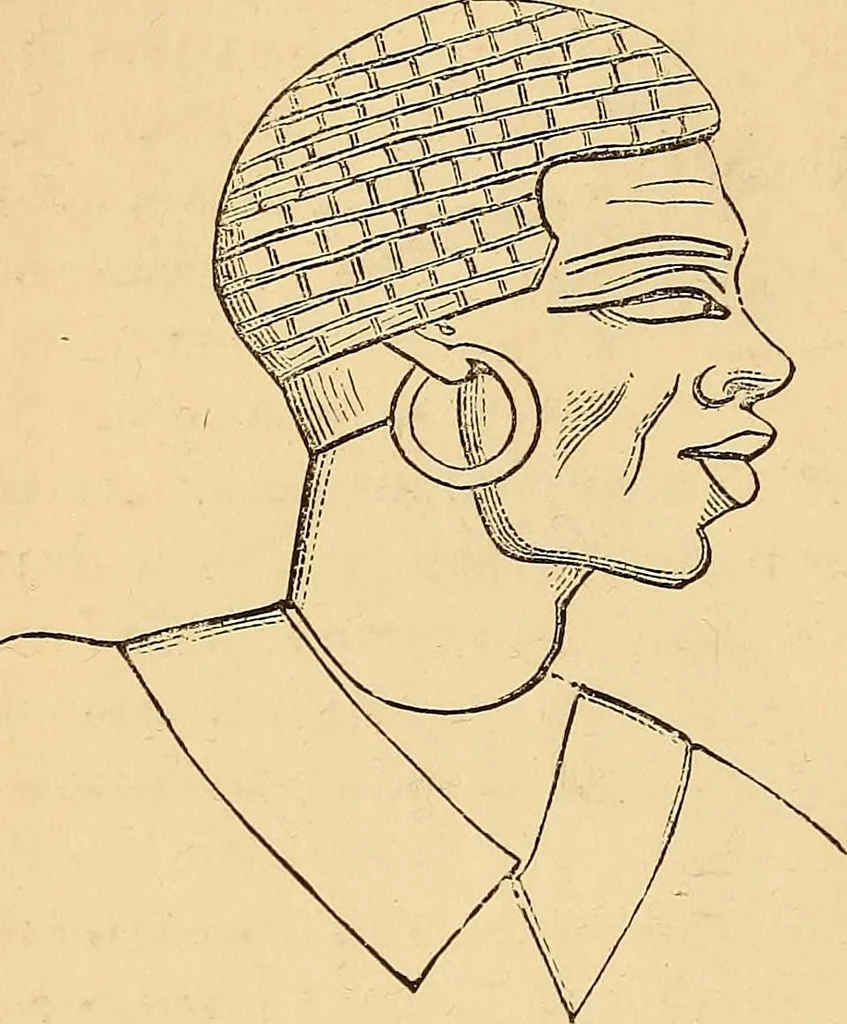 An illustration from New physiognomy, 1867, leaf 471