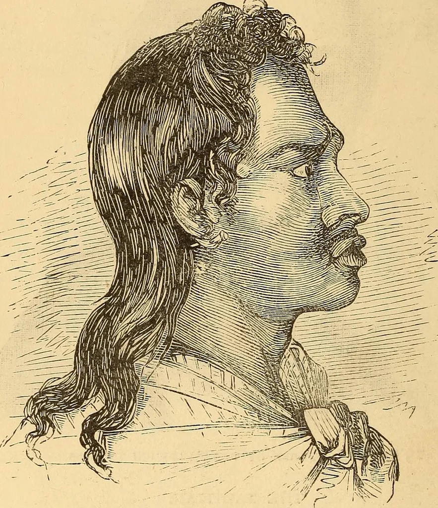An illustration from New physiognomy, 1867, leaf 479