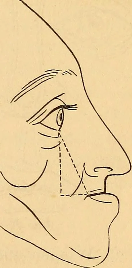 An illustration from New physiognomy, 1867, leaf 48