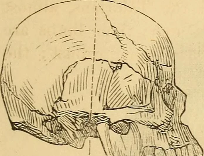 An illustration from New physiognomy, 1867, leaf 480