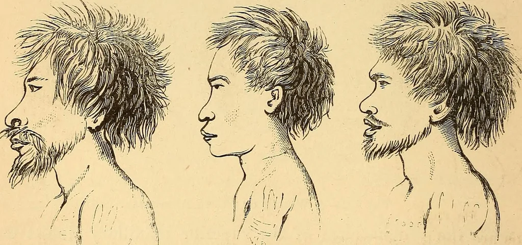 An illustration from New physiognomy, 1867, leaf 485