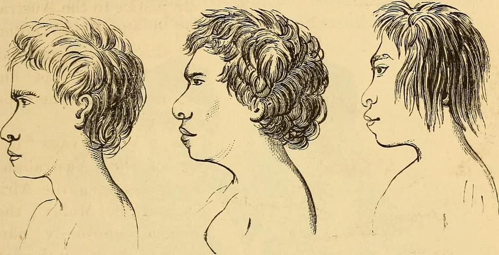 An illustration from New physiognomy, 1867, leaf 486