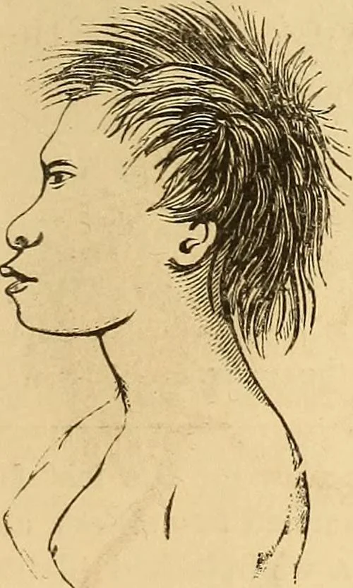 An illustration from New physiognomy, 1867, leaf 486