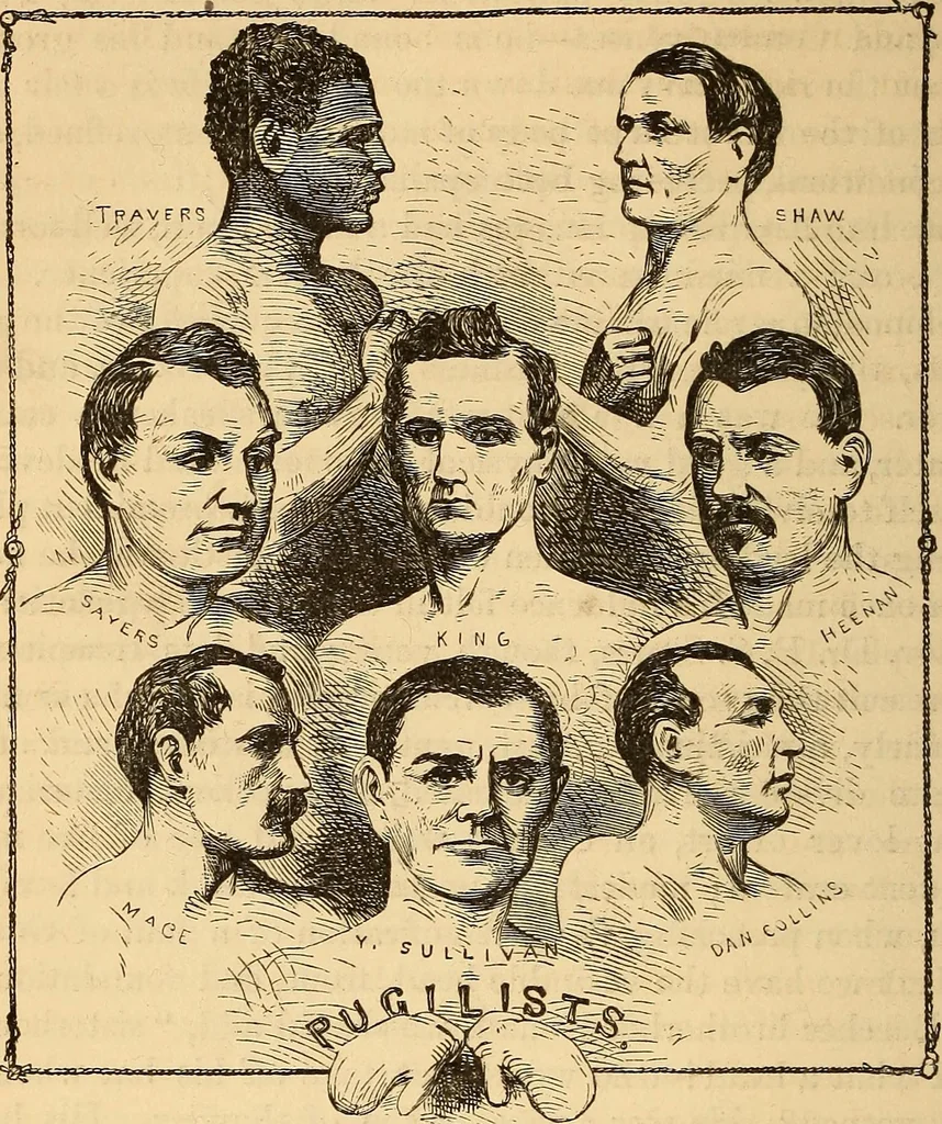 An illustration from New physiognomy, 1867, leaf 495