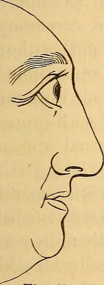 An illustration from New physiognomy, 1867, leaf 50