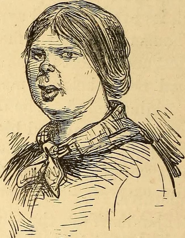 An illustration from New physiognomy, 1867, leaf 543